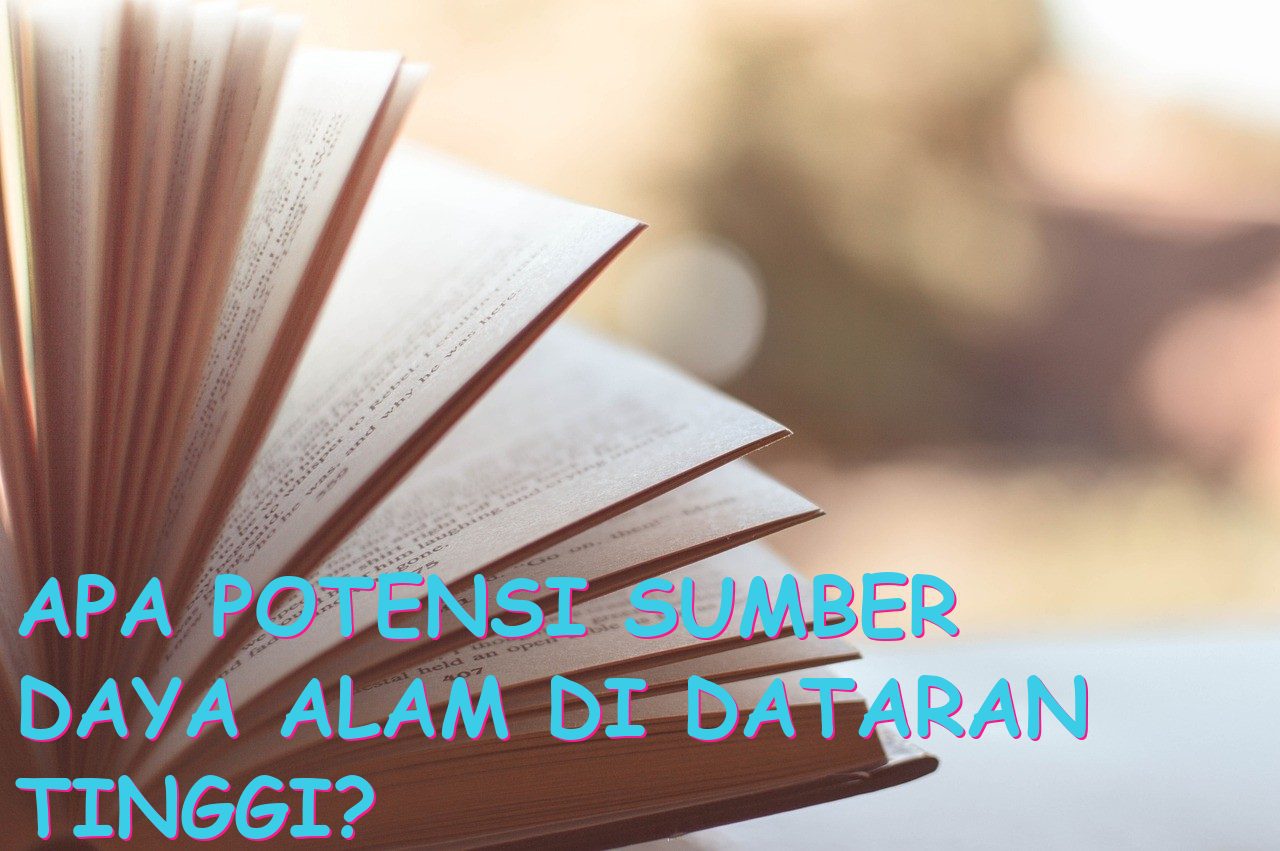 Apa Potensi Sumber Daya Alam di Dataran Tinggi?