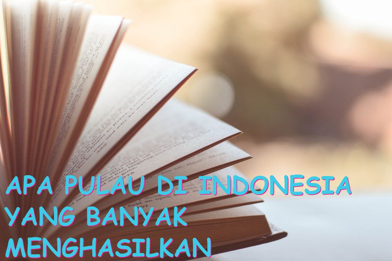 Apa Pulau di Indonesia yang Banyak Menghasilkan Rotan?