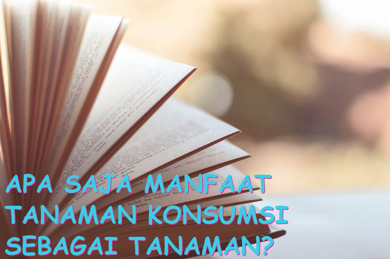 Apa Saja Manfaat Tanaman Konsumsi sebagai Tanaman?