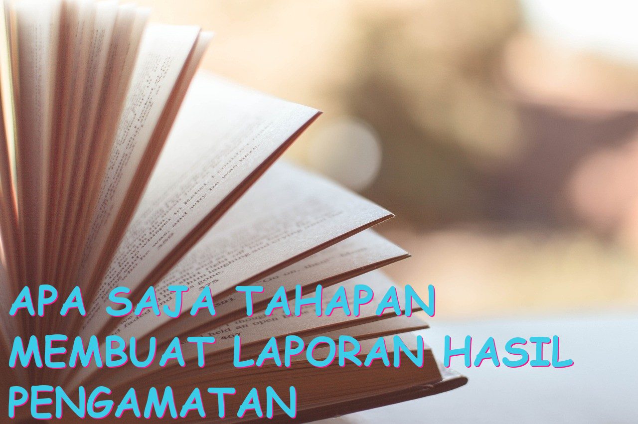 Apa Saja Tahapan Membuat Laporan Hasil Pengamatan Dalam Penelitian?