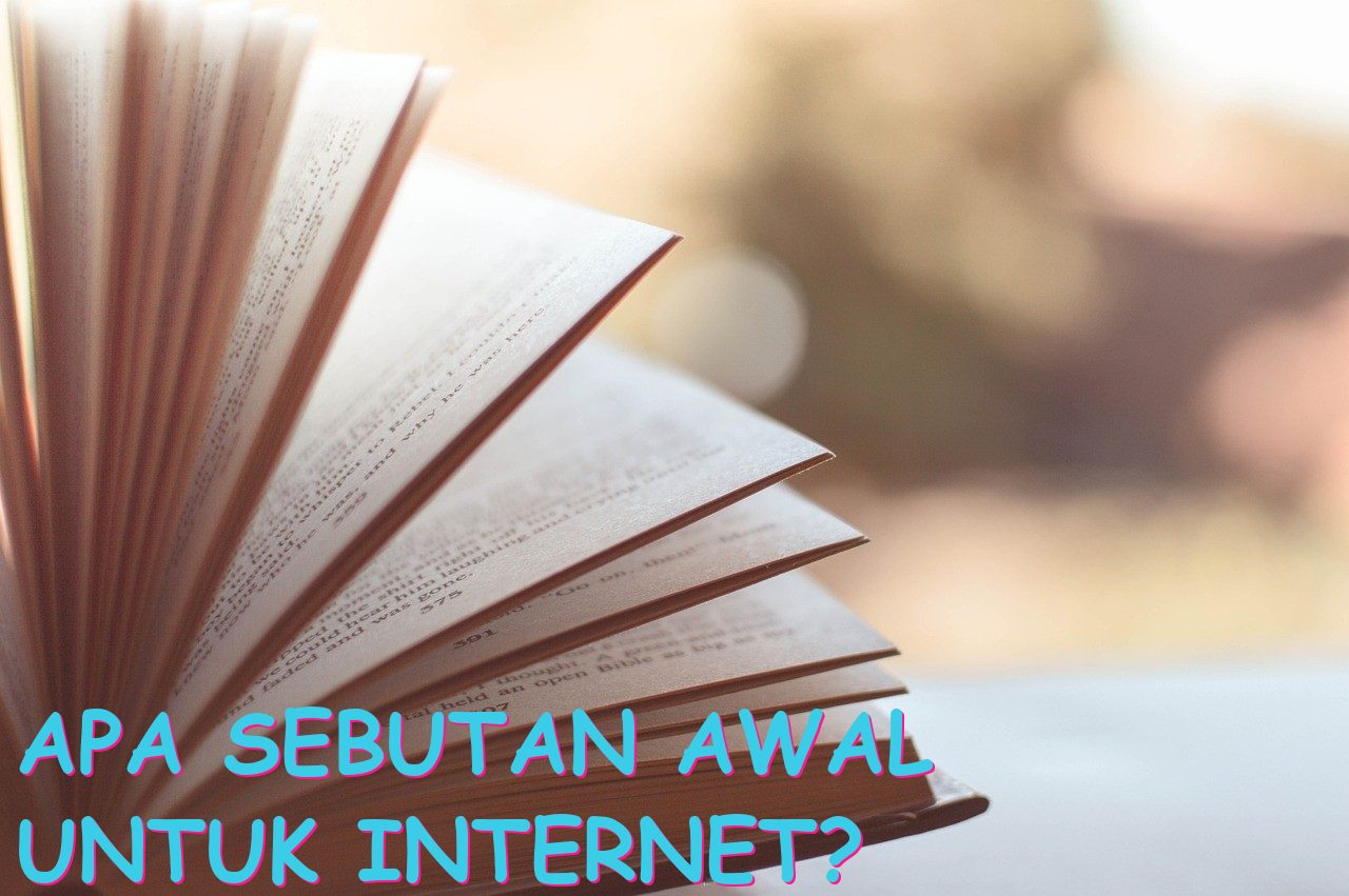 Apa Sebutan Awal untuk Internet?