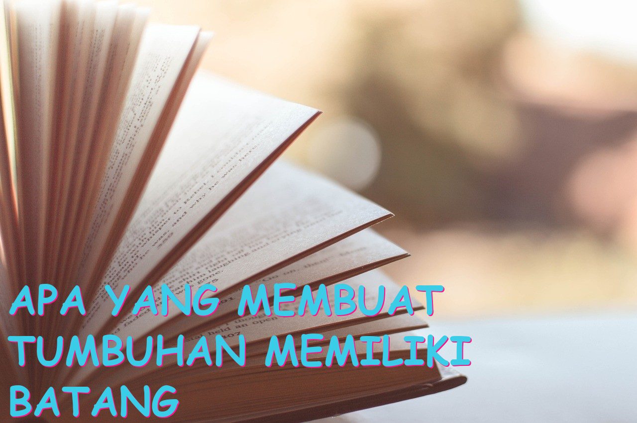 Apa yang Membuat Tumbuhan Memiliki Batang Berongga?