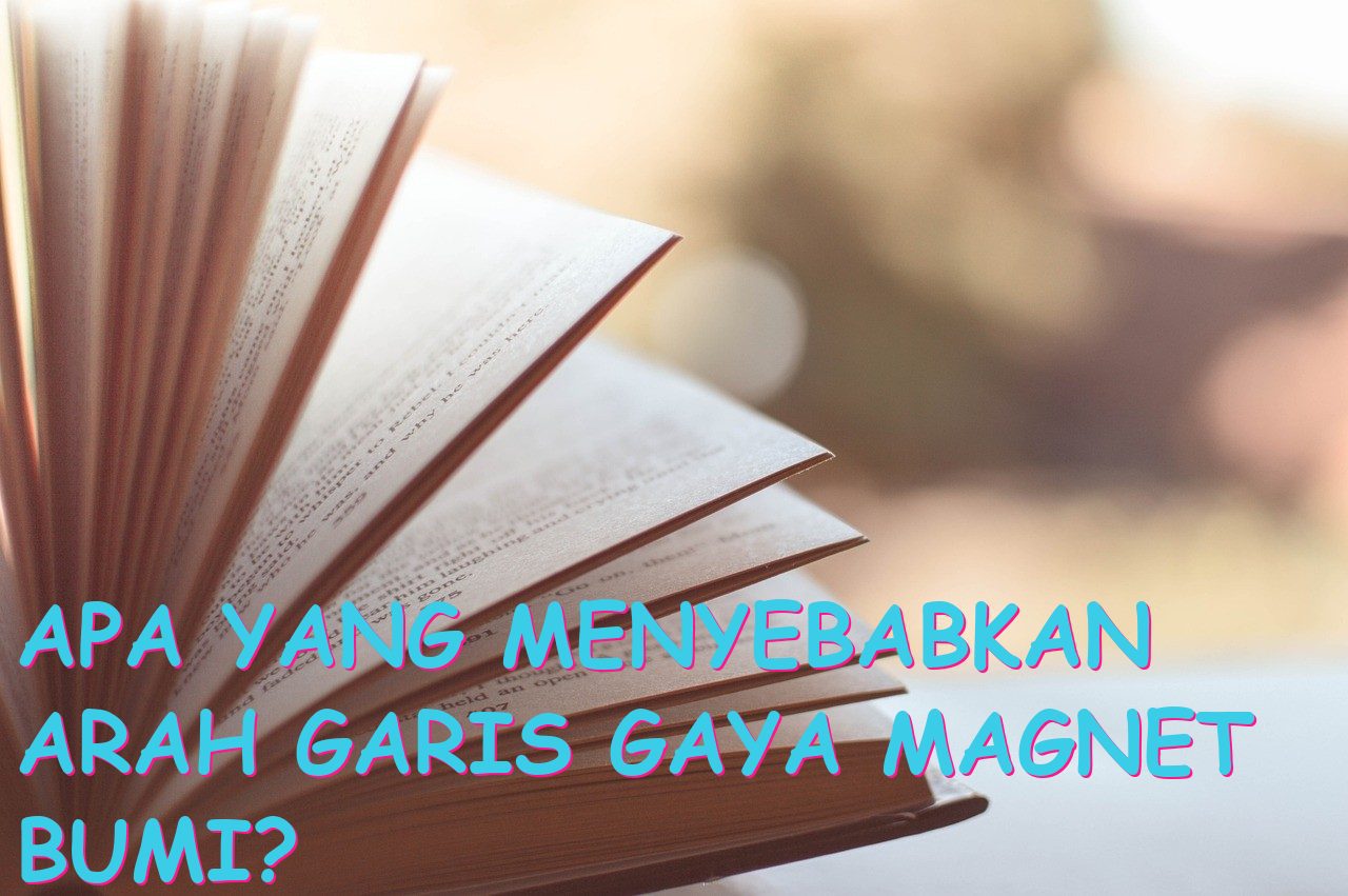 Apa yang Menyebabkan Arah Garis Gaya Magnet Bumi?