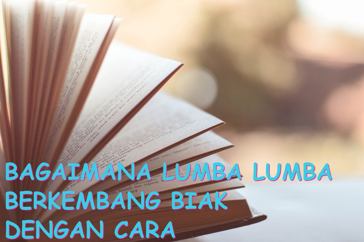 Bagaimana Lumba Lumba Berkembang Biak dengan Cara yang Unik?