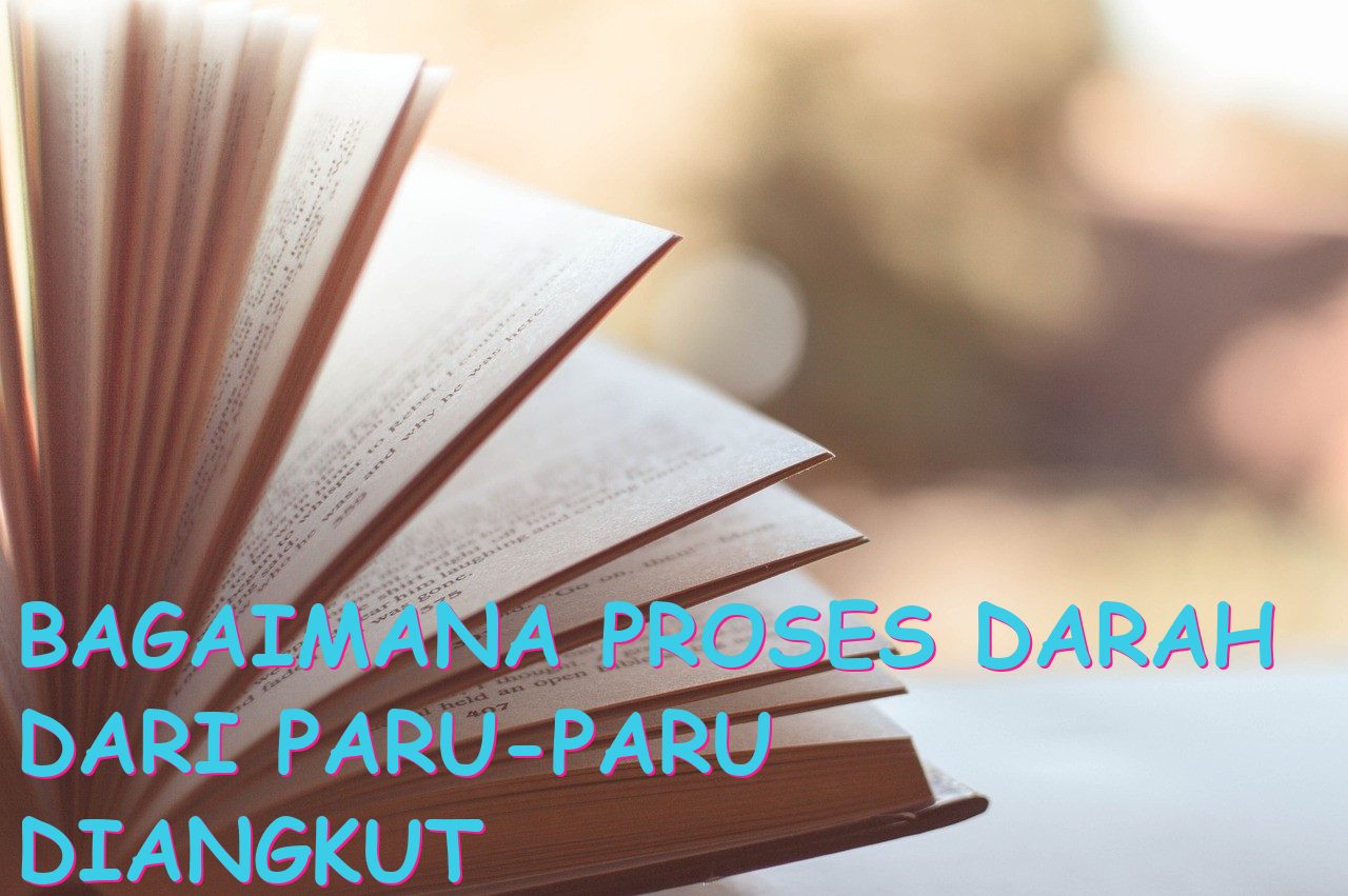 Bagaimana Proses Darah dari Paru-paru Diangkut oleh Pembuluh?