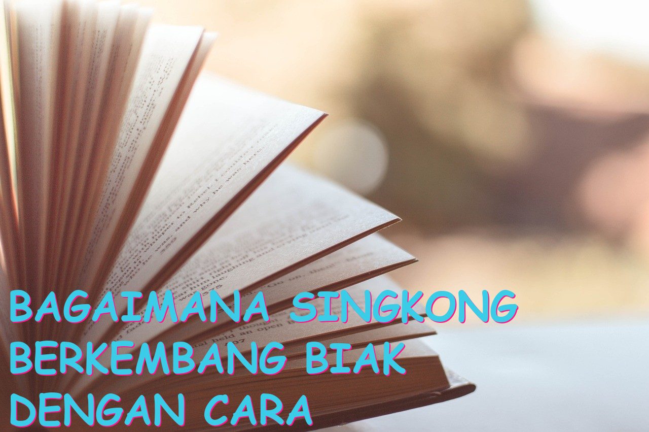 Bagaimana Singkong Berkembang Biak dengan Cara yang Efektif?