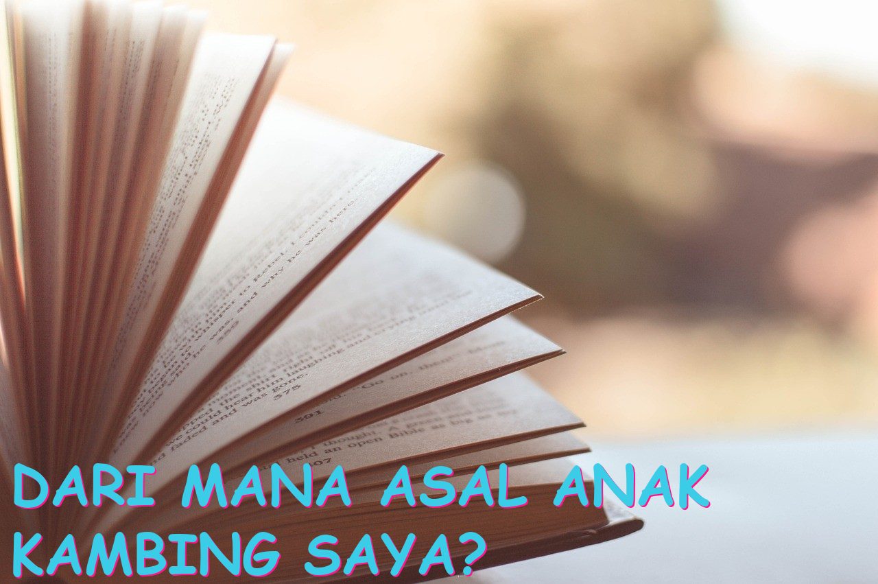 Dari mana asal anak kambing saya?