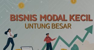 bisnis untuk pemula