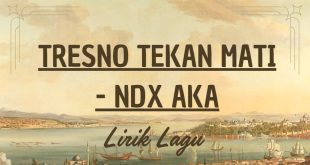 Lirik lagu tresno tekan mati ndx aka