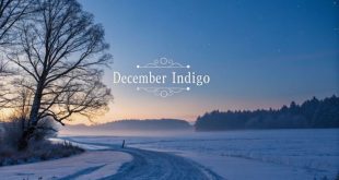 makna lagu december indigo