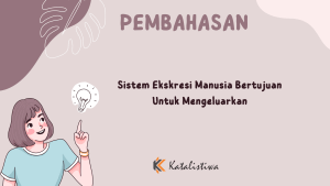 Sistem Ekskresi Manusia Bertujuan Untuk Mengeluarkan